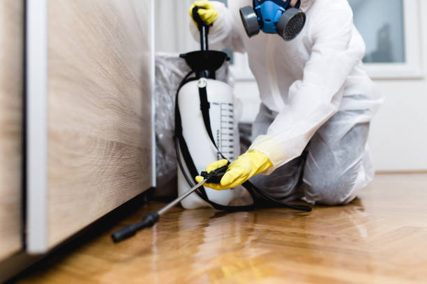 Best Cockroach Control Services  in Highgrove, CA