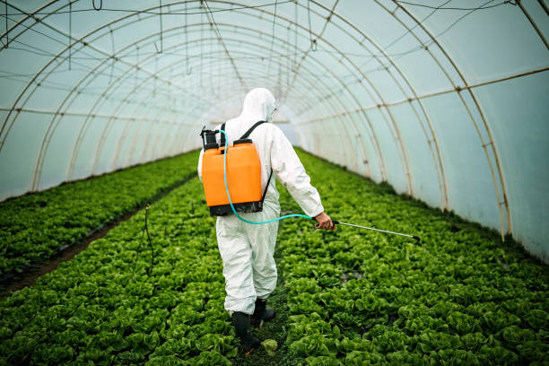 Best Pest Control Near Me in Highgrove, CA