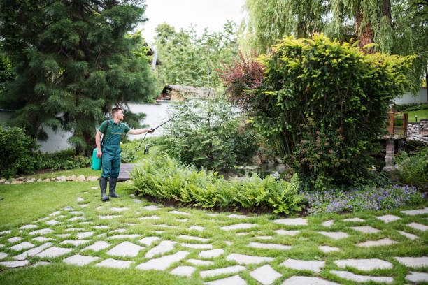 Best Mosquito Control Services  in Highgrove, CA