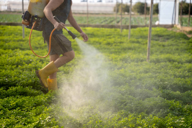 Best Pest Control for Homes  in Highgrove, CA