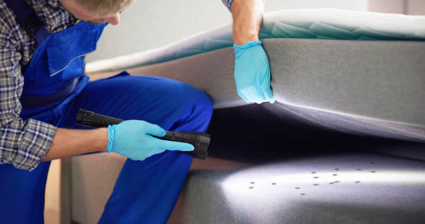 Best Ant Control Services  in Highgrove, CA