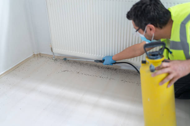 Best Residential Pest Control  in Highgrove, CA