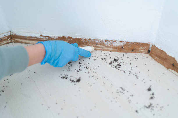 Best Pest Control for Businesses  in Highgrove, CA