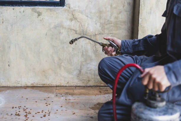 Professional Pest Control in Highgrove, CA