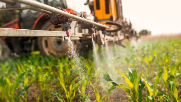 Best Commercial Pest Control Services  in Highgrove, CA